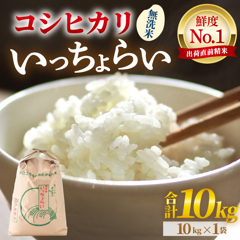【先行予約】【令和8年産・新米】【一等米】いっちょらい 無洗米 10kg×1袋 ／ 福井県産 ブランド米 コシヒカリ ご飯 白米 新鮮 大賞 受賞 ※2026年9月下旬以降順次発送予定 [aw012-b024]