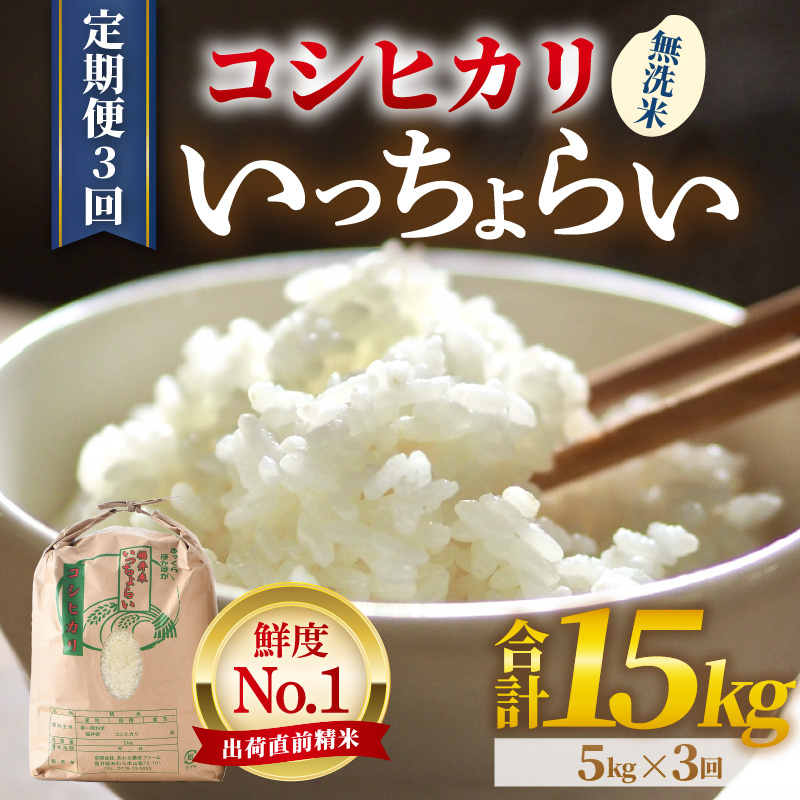 【先行予約】【令和8年産・新米】【一等米】《定期便3回》いっちょらい 無洗米 5kg × 3回（計15kg）／ 福井県産 ブランド米 コシヒカリ ご飯 白米 新鮮 大賞 受賞 ※2026年10月上旬以降順次発送予定 [aw012-b030]