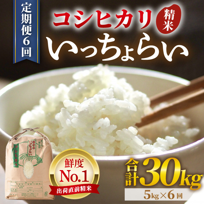 【先行予約】【令和8年産・新米】【一等米】《定期便6回》いっちょらい 精米 5kg × 6回（計30kg）／ 福井県産 ブランド米 コシヒカリ ご飯 白米 新鮮 大賞 受賞 新米 福井県あわら産 ※2026年10月上旬以降順次発送予定 [aw012-e005]