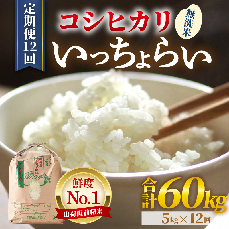 【先行予約】【令和8年産・新米】【一等米】《定期便12回》いっちょらい 無洗米 5kg × 12回（計60kg） ／ 福井県産 ブランド米 コシヒカリ ご飯 白米 新鮮 大賞 受賞 ※2026年10月上旬以降順次発送予定 [aw012-j007]