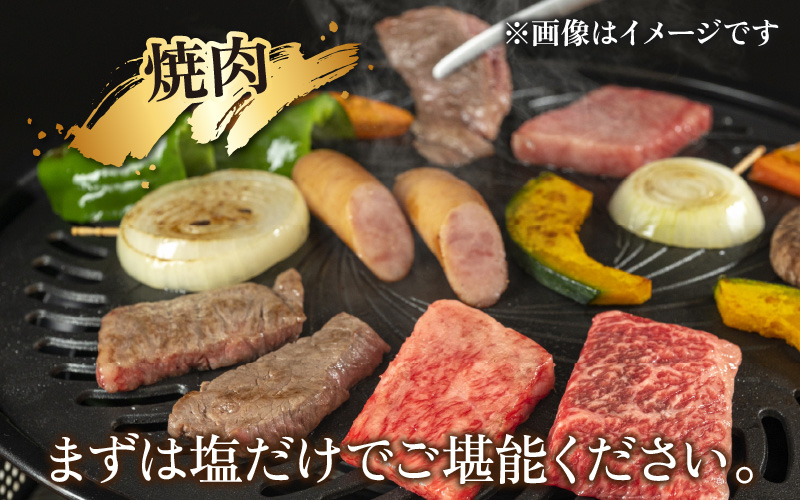 縲千ヲ丈コ慕恁逕」 闍・迢ュ迚帙鷹惧髯 繝舌Λ 辟シ閧臥畑 660g