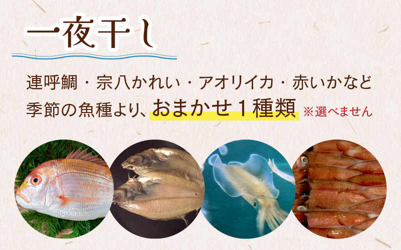 縲千┥縺上□縺代ョ邁。蜊倩ェソ逅縲鷹搨鬲壹ョ蟷イ迚ゥ5蜩√そ繝繝 | 豬キ魄ョ 蟷イ迚ゥ 髟キ謖√■