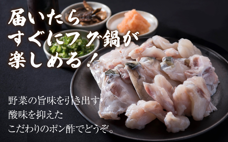 【先行予約】【国産とらふぐ】ふぐ鍋セット2-3人前 【2026年10月より順次発送】北陸 福井 鍋 家庭用