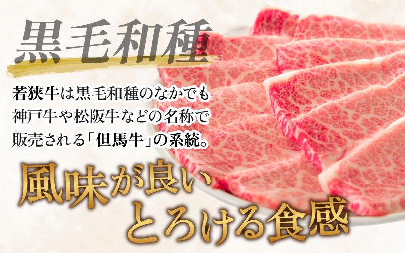 縲千ヲ丈コ慕恁逕」 闍・迢ュ迚帙鷹惧髯 繝舌Λ 辟シ閧臥畑 660g