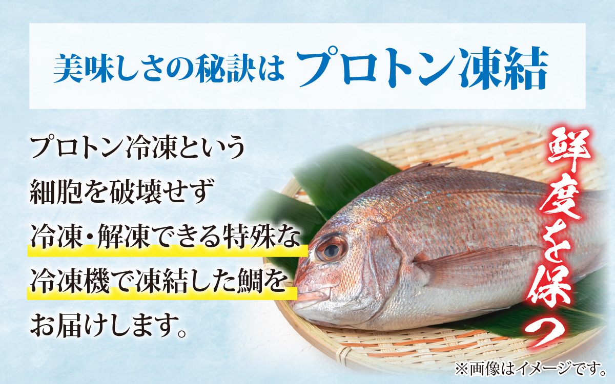 鯛しゃぶ食べ比べセット　2〜3人前【急速冷凍】（プロトン凍結） 食べ比べ 海鮮