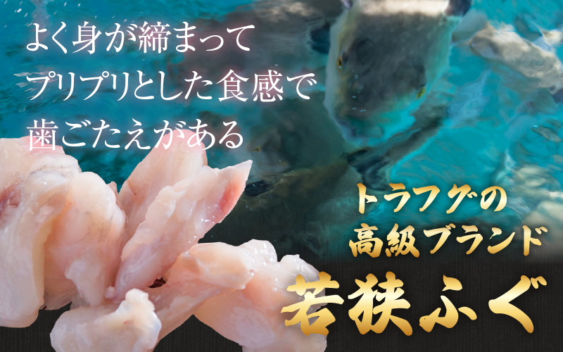 【先行予約】【国産とらふぐ】ふぐ鍋セット 3-5人前 【2026年10月より順次発送】北陸 福井 家庭用