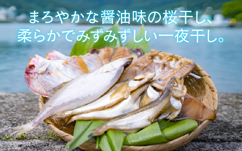 縲千┥縺上□縺代ョ邁。蜊倩ェソ逅縲鷹搨鬲壹ョ蟷イ迚ゥ5蜩√そ繝繝 | 豬キ魄ョ 蟷イ迚ゥ 髟キ謖√■