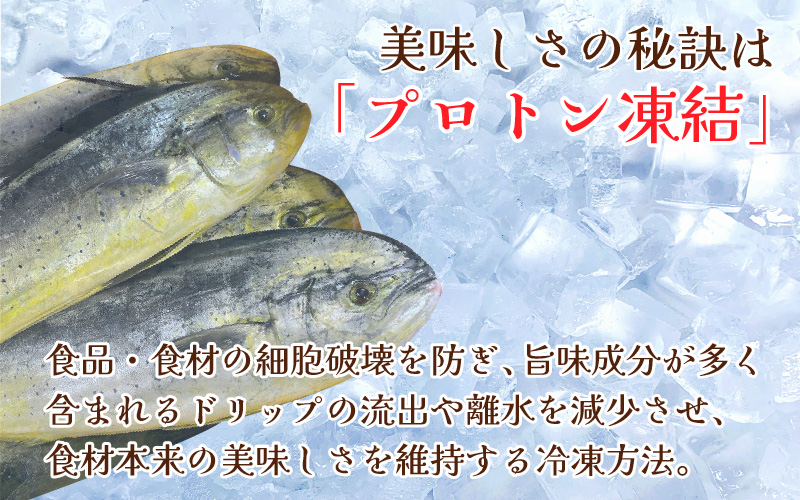 縲千┥縺上□縺代ョ邁。蜊倩ェソ逅縲大慍蜈縺ョ貍ャ縺鷹ュ 4遞ョ繧サ繝繝| 豬キ魄ョ 蜀キ蜃埼」溷刀 縺頑Ε闖