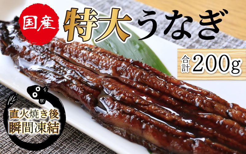 国産特大うなぎ　直火焼き後瞬間凍結　秘伝のタレ付き【急速冷凍】（プロトン凍結）
