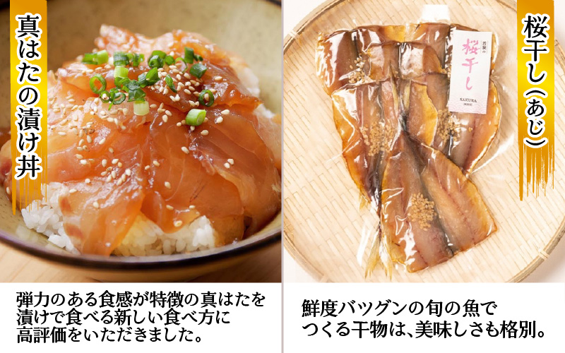 【2回定期便】はもとの定期便 人気もんセット【急速冷凍】（プロトン凍結）【お中元・お歳暮時期にお届け】