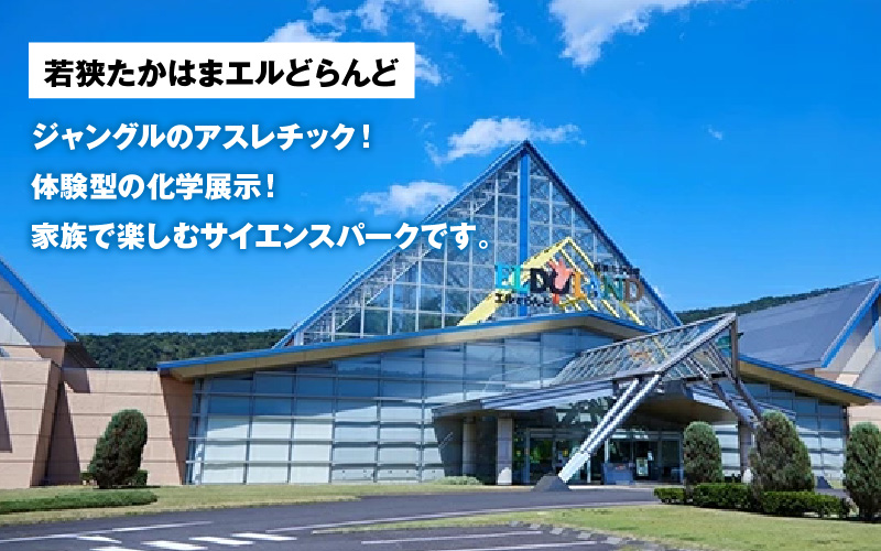 縲瑚凶迢ュ縺溘°縺ッ縺セ繧ィ繝ォ縺ゥ繧峨s縺ゥ縲咲ゥコ荳ュ繧「繧ケ繝ャ繝√ャ繧ッ菴馴ィ薙メ繧ア繝繝(蟆丞ュヲ逕溘サ荳ュ蟄ヲ逕)2譫