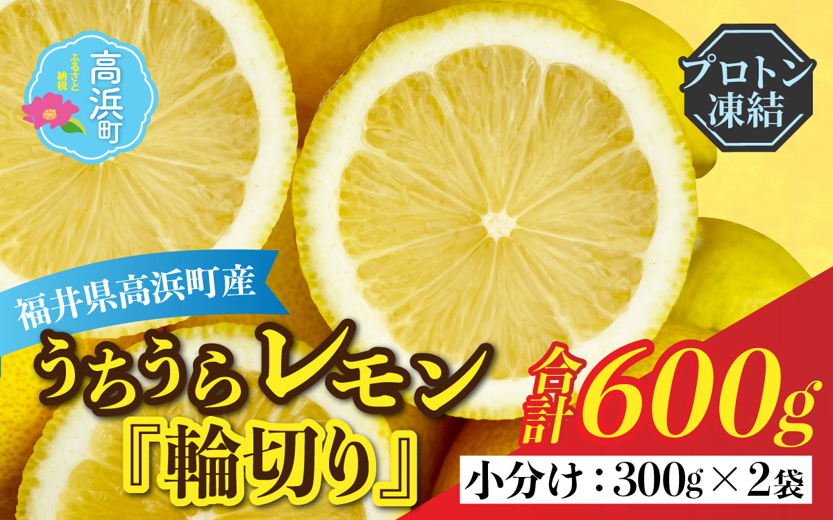 国産うちうらレモン 輪切り 小分け【急速冷凍】（プロトン凍結）ビタミン補給 健康維持