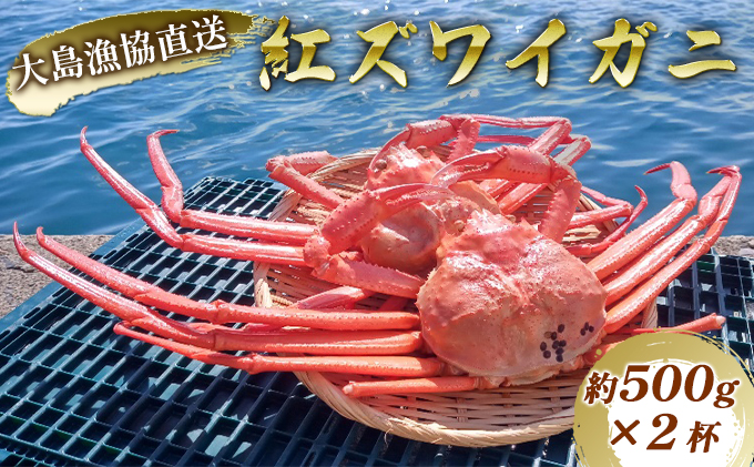 数量限定！福井県の大島漁協直送【ボイル冷凍】ベニズワイガニ（約500g）×2杯