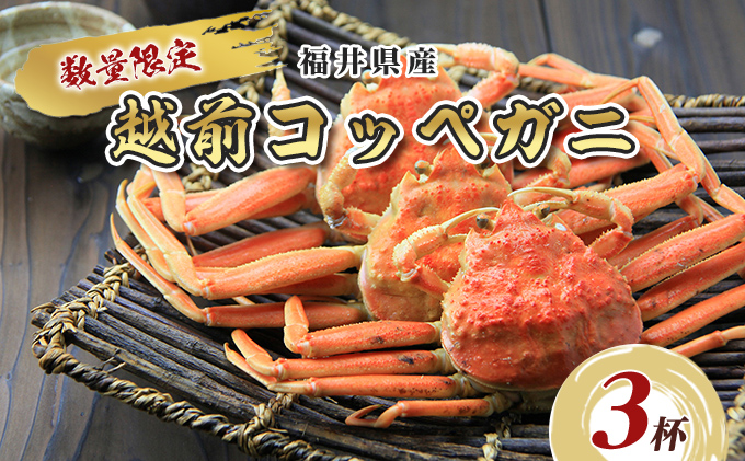 数量限定！福井県産 越前コッペガニ3杯 海鮮 海の幸 甲殻類 お祝い 正月 年末年始 ボイル 急速冷凍 セイコガニ