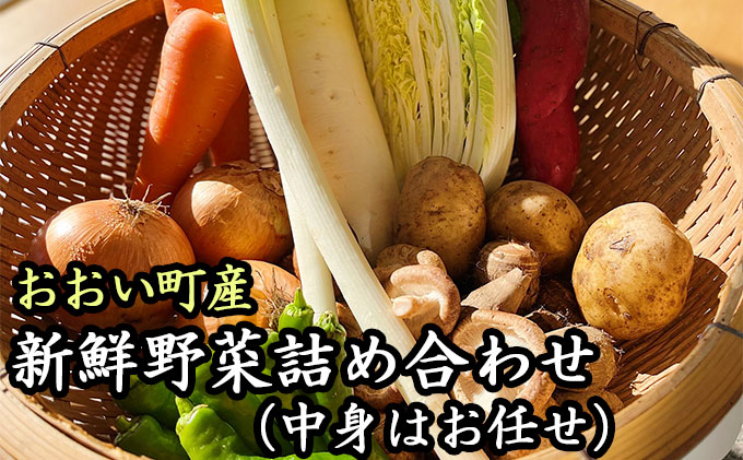 おおい町産新鮮野菜詰め合わせ 野菜セット 特産 