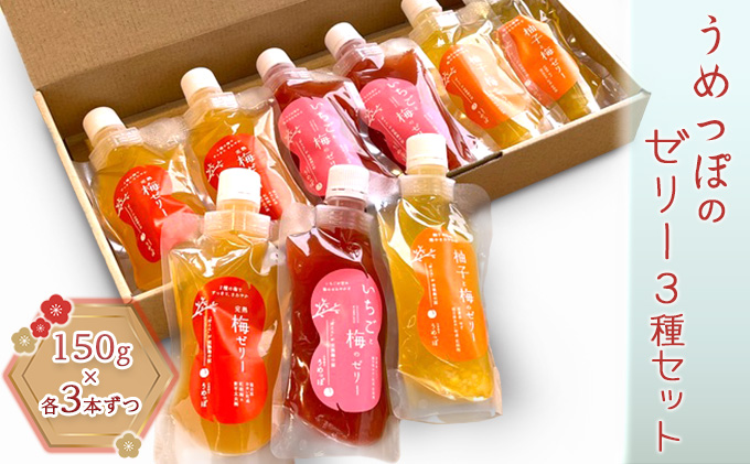 うめっぽのゼリー3種セット9本入り　福井県おおい町産梅使用 お菓子 生菓子 スイーツ ひんやりスイーツ 涼 梅ゼリー 柚子 いちご ミックスゼリー 完熟梅ゼリー 食べ比べ