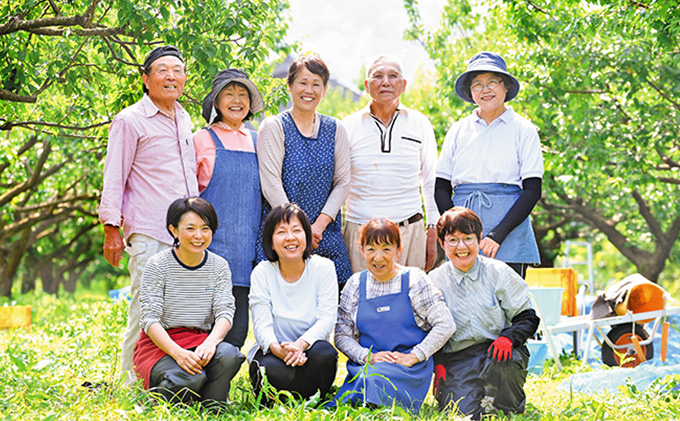 うめっぽのゼリー3種セット9本入り　福井県おおい町産梅使用