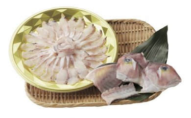若狭甘鯛（ぐじ）しゃぶしゃぶセット 約300g  (プロトン急速冷凍) 魚貝類 魚介類 アマダイ 