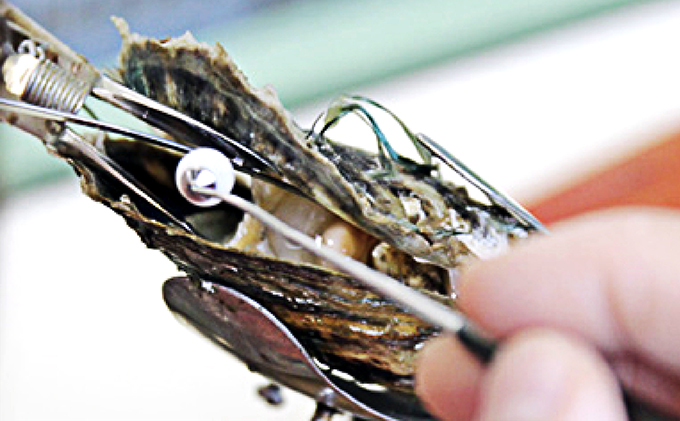 若狭パール艶々あこや真珠至宝の大珠8mm K18ペンダントトップ E ファッション アクセサリー ネックレス 