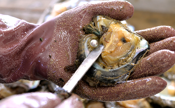 若狭パール艶々あこや真珠至宝の大珠8mm K18ペンダントトップ E ファッション アクセサリー ネックレス 