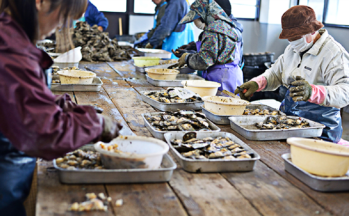 若狭パール 艶々あこや真珠 編み込みボールペンダントL ファッション アクセサリー ネックレス 