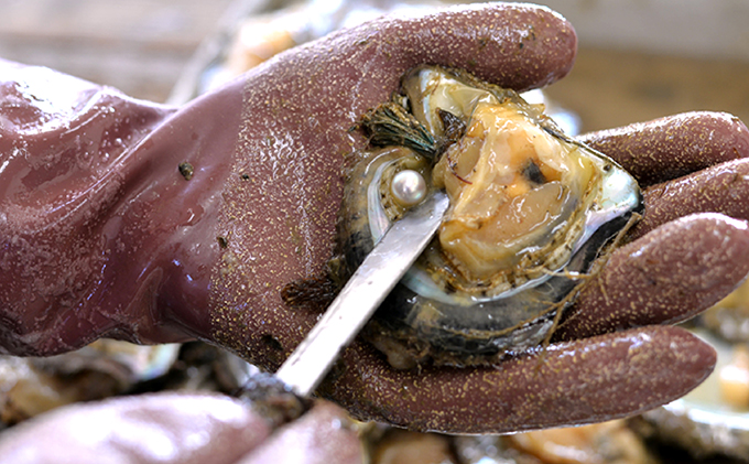 若狭パール 艶々あこや真珠 編み込みボールペンダントL ファッション アクセサリー ネックレス 