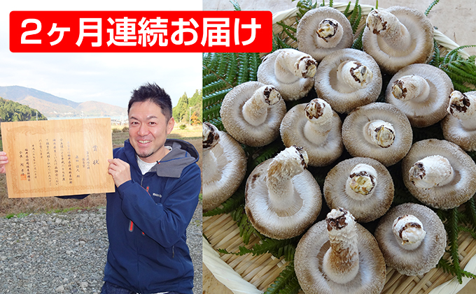 【2ヶ月連続】菌床による、生シイタケで「おーい菌床しいたけ」1kg×2ヶ月 野菜 きのこ 茸 キノコ 椎茸