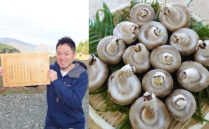 おーい菌床しいたけ2.5kg 野菜 きのこ 茸 キノコ シイタケ 椎茸