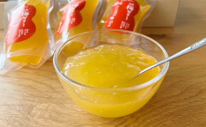 うめっぽの完熟梅ゼリー9本セット　福井県おおい町産梅使用 発酵食品 梅肉 詰め合わせ 