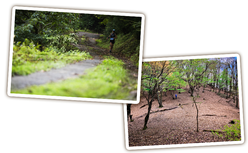 ナタショウトレイルランニングレース2025　出走権　1名 福井県 おおい町 トレイルラン