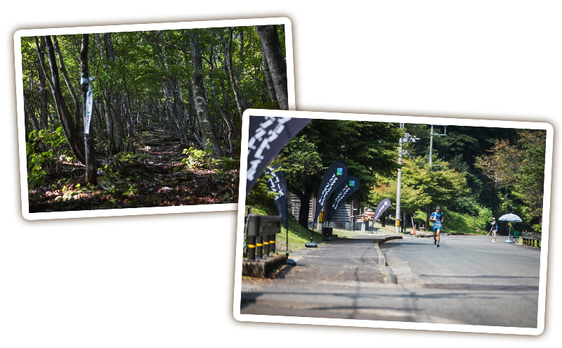 ナタショウトレイルランニングレース2025　出走権　1名 福井県 おおい町 トレイルラン