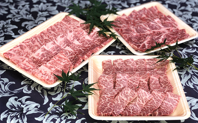 福井県のブランド牛 若狭牛 焼肉セット 【 牛ロース 牛モモ 牛バラ 】 お肉 牛肉