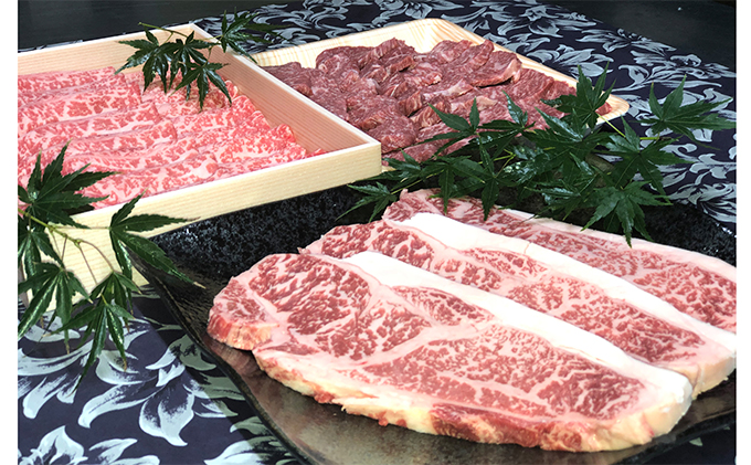 若狭牛 プレミアムセット（ サーロインステーキ用 モモ焼肉用 ローススライス ） 牛肉 お肉