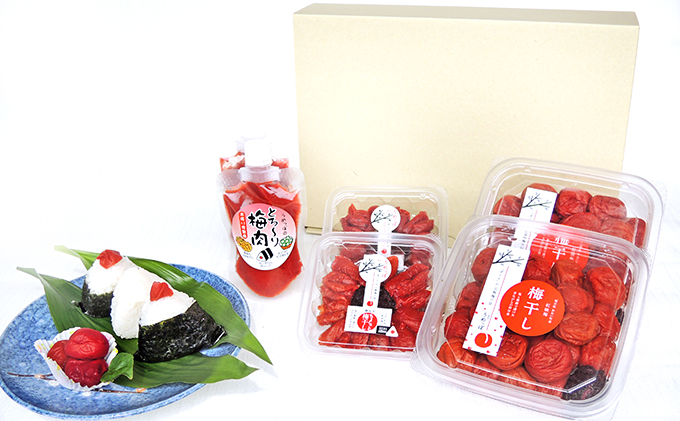 うめっぽの梅干いろいろセット　福井県おおい町産梅使用 梅干し