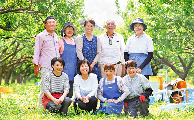 うめっぽの梅干600g (300g×2) セット　福井県おおい町産梅使用