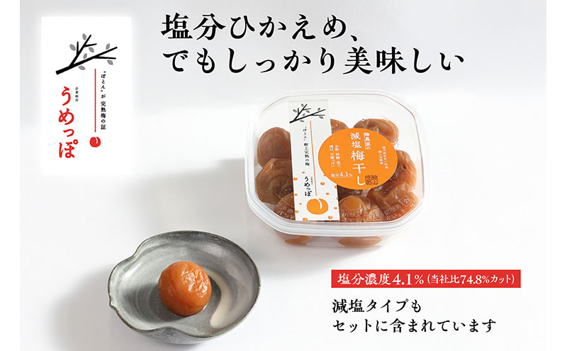 おおい町産の希少品種の完熟梅　昔ながらの梅干　いろいろセット 紅映梅 希少品種 樹上完熟 昔ながら 梅農家が作った 手作り 福井梅 梅 梅干 梅干し うめぼし 完熟 食べ比べ セット 福井県 おおい町