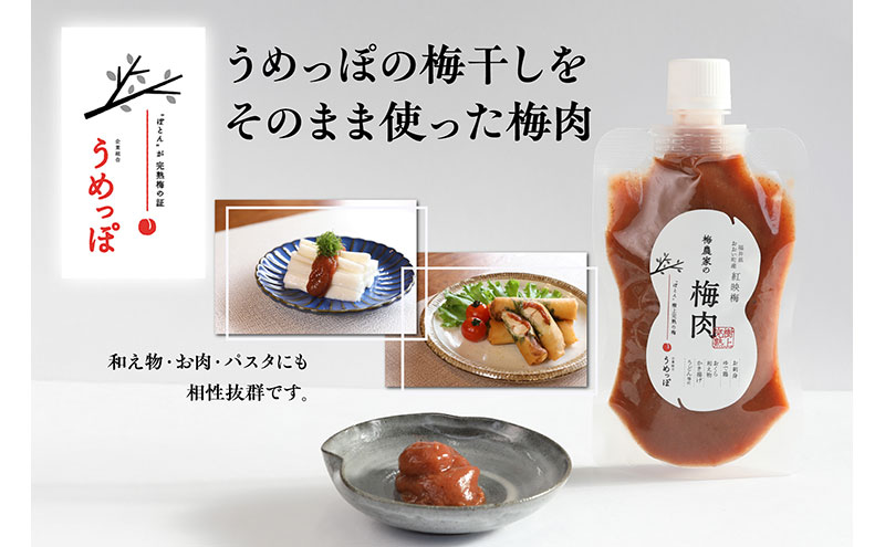 おおい町産の希少品種の完熟梅　昔ながらの梅干　いろいろセット 紅映梅 希少品種 樹上完熟 昔ながら 梅農家が作った 手作り 福井梅 梅 梅干 梅干し うめぼし 完熟 食べ比べ セット 福井県 おおい町