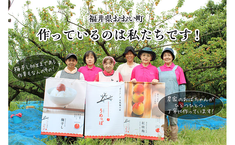 おおい町産の希少品種の完熟梅　昔ながらの梅干　いろいろセット 紅映梅 希少品種 樹上完熟 昔ながら 梅農家が作った 手作り 福井梅 梅 梅干 梅干し うめぼし 完熟 食べ比べ セット 福井県 おおい町