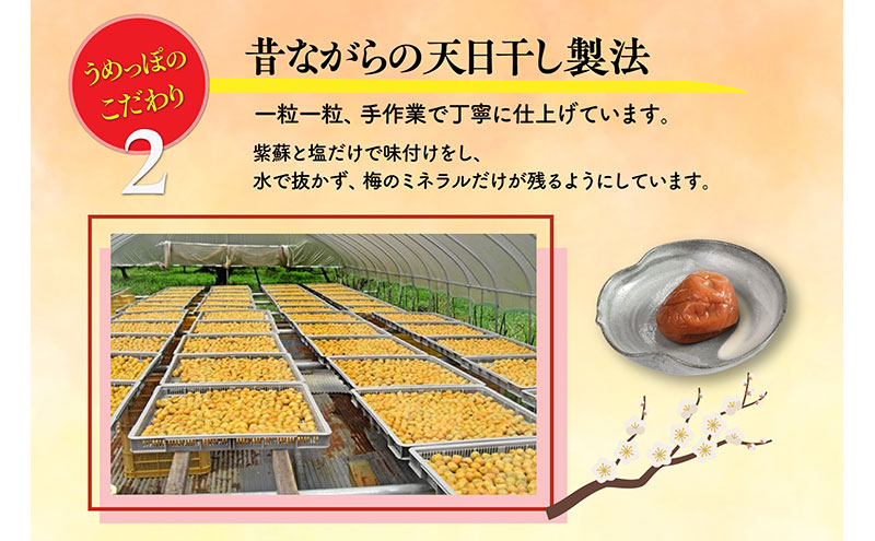 おおい町産の希少品種の完熟梅　昔ながらの梅干　いろいろセット 紅映梅 希少品種 樹上完熟 昔ながら 梅農家が作った 手作り 福井梅 梅 梅干 梅干し うめぼし 完熟 食べ比べ セット 福井県 おおい町