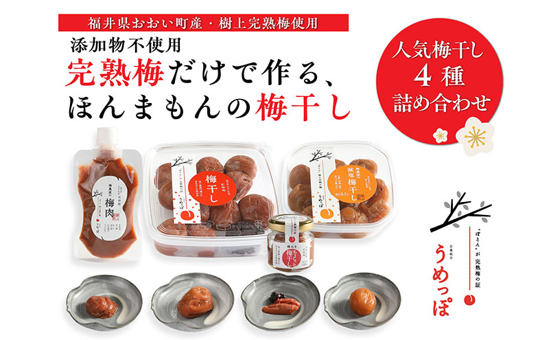 おおい町産の希少品種の完熟梅　昔ながらの梅干　いろいろセット 紅映梅 希少品種 樹上完熟 昔ながら 梅農家が作った 手作り 福井梅 梅 梅干 梅干し うめぼし 完熟 食べ比べ セット 福井県 おおい町