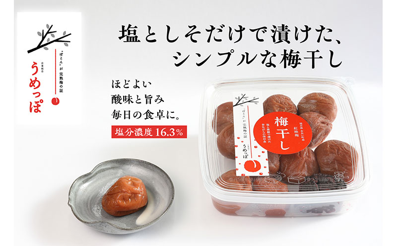 おおい町産の希少品種の完熟梅　昔ながらの梅干　いろいろセット 紅映梅 希少品種 樹上完熟 昔ながら 梅農家が作った 手作り 福井梅 梅 梅干 梅干し うめぼし 完熟 食べ比べ セット 福井県 おおい町