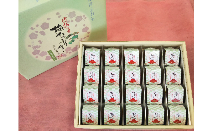 飛梅の里 梅たっぷりぜりー 20個入 福井県おおい町産 うめ 使用 お菓子 ゼリー ジュレ 