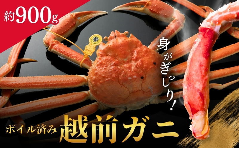 越前ガニ ボイル 約900g 高島屋 選定品 ズワイガニ かに 海鮮 海産物 海の幸 魚介 魚介類 越前かに 越前カニ 越前がに ずわいがに ずわい蟹 カニ 蟹 ボイルガニ 冷蔵 冷蔵配送 福井県 福井 若狭町 若狭