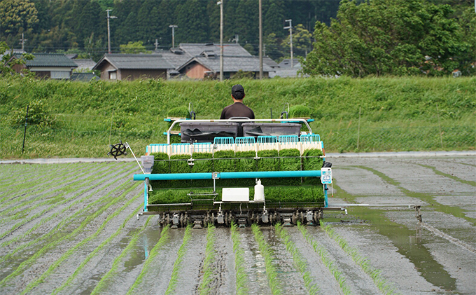 6ヶ月連続】令和3年産福井県若狭町コシヒカリ（一等米）10kg（山心ファーム）|JALふるさと納税|JALのマイルがたまるふるさと納税サイト