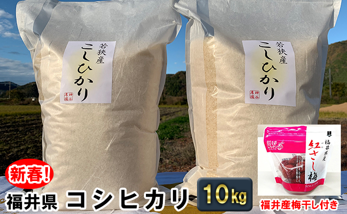 2022年新春！数量限定】福井県若狭町コシヒカリ（一等米）10kg＋福井の梅干し付き（神谷農園）|JALふるさと納税|JALのマイルがたまるふるさと納税 サイト