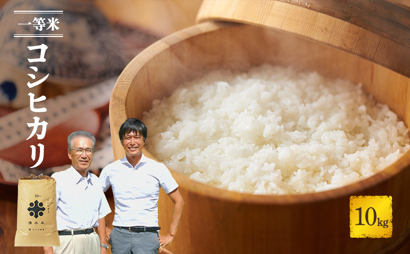米 コシヒカリ 10kg 産地直送 一等米 特A 特A米 お米 白米 精米 新米 ご飯 令和6年産 10キロ おこめ こめ コメ ごはん こしひかり 福井県 福井 若狭町 若狭 送料無料