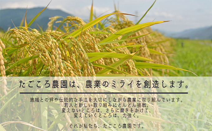 令和4年産 福井県若狭町コシヒカリ（一等米）10kg（たごころ農園）|JALふるさと納税|JALのマイルがたまるふるさと納税サイト