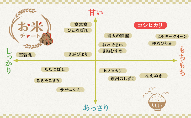 米 コシヒカリ 10kg 産地直送 一等米 特A 特A米 お米 白米 精米 新米 ご飯 令和6年産 10キロ おこめ こめ コメ ごはん こしひかり 福井県 福井 若狭町 若狭 送料無料
