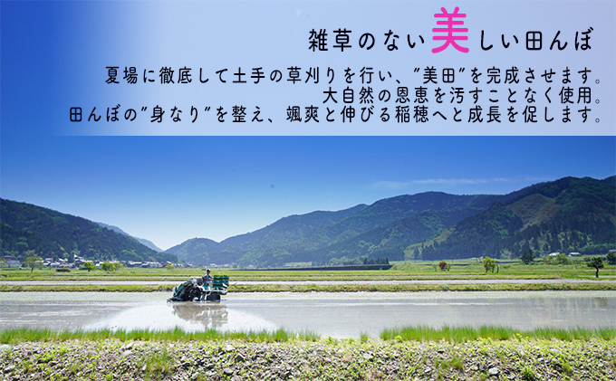 【6ヶ月連続】令和5年産福井県若狭町コシヒカリ（一等米）10kg（山心ファーム）