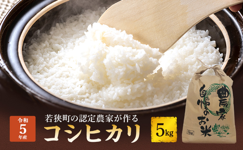 【令和6年度産】新米 先行予約 コシヒカリ 5kg 一等米 お米 おこめ こめ コメ 白米 精米 新米 ご飯 ごはん 苧営農組合 福井県 福井